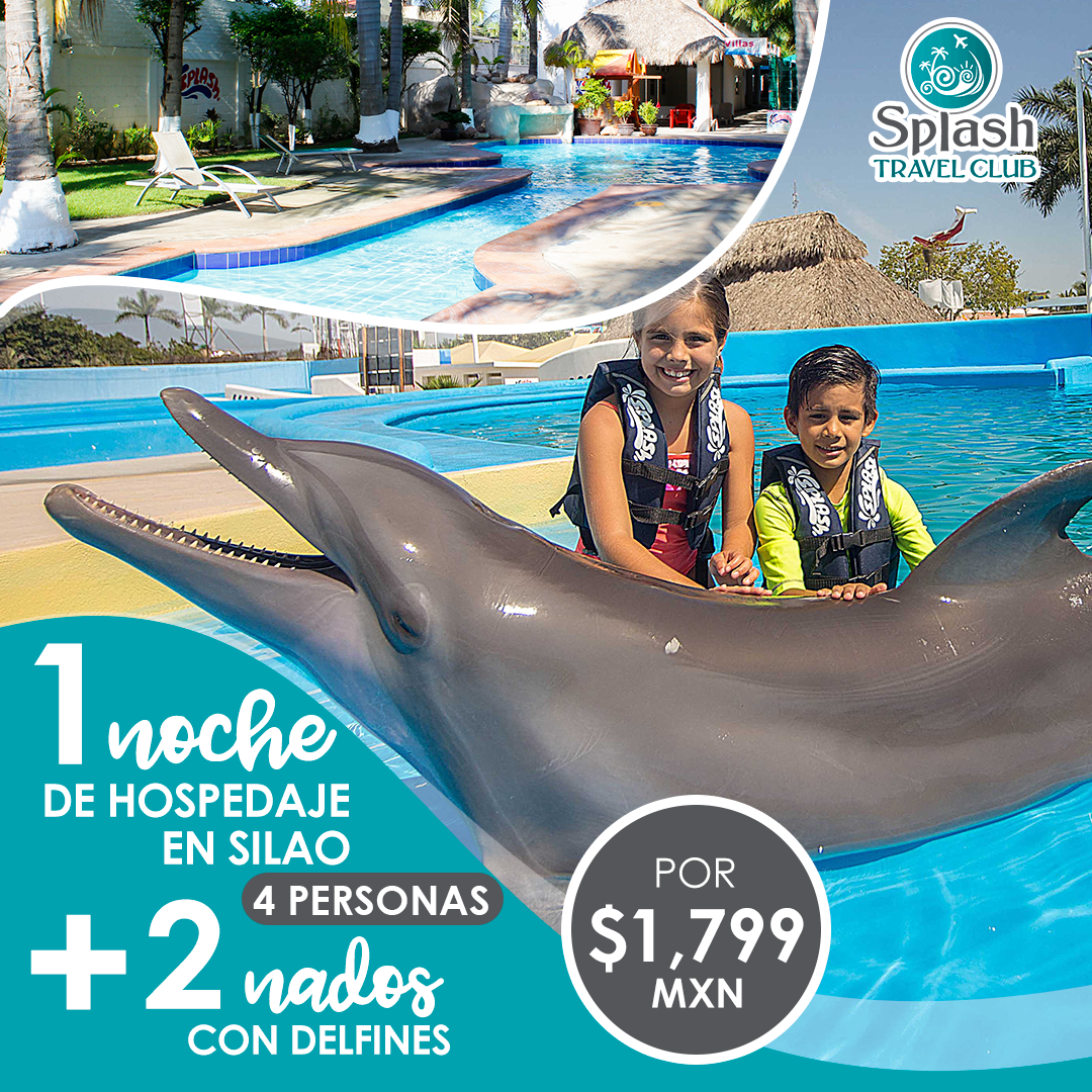 Hospedaje y nado con delfines en Silao